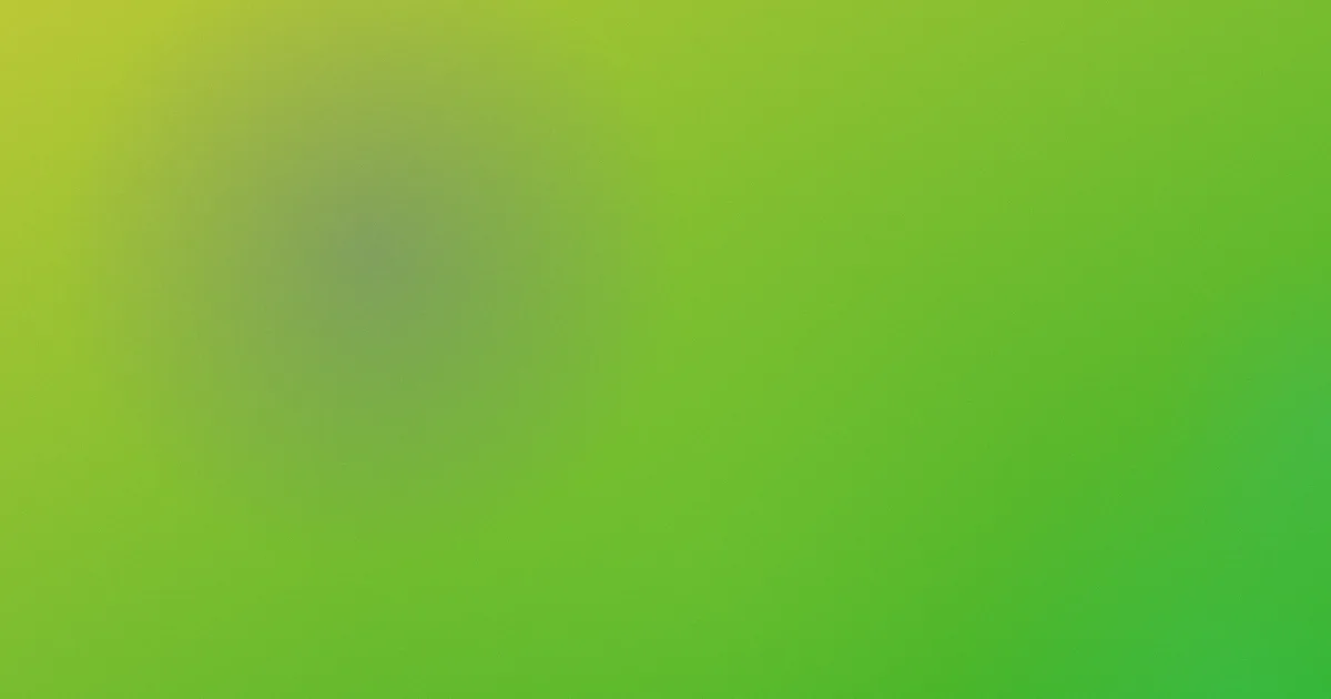 玫瑰少年歌词测评避坑版
